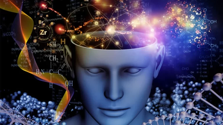 نوتروپیک‌ها (Nootropics)؛ مکمل‌های هوشمند برای افزایش تمرکز و یادگیری