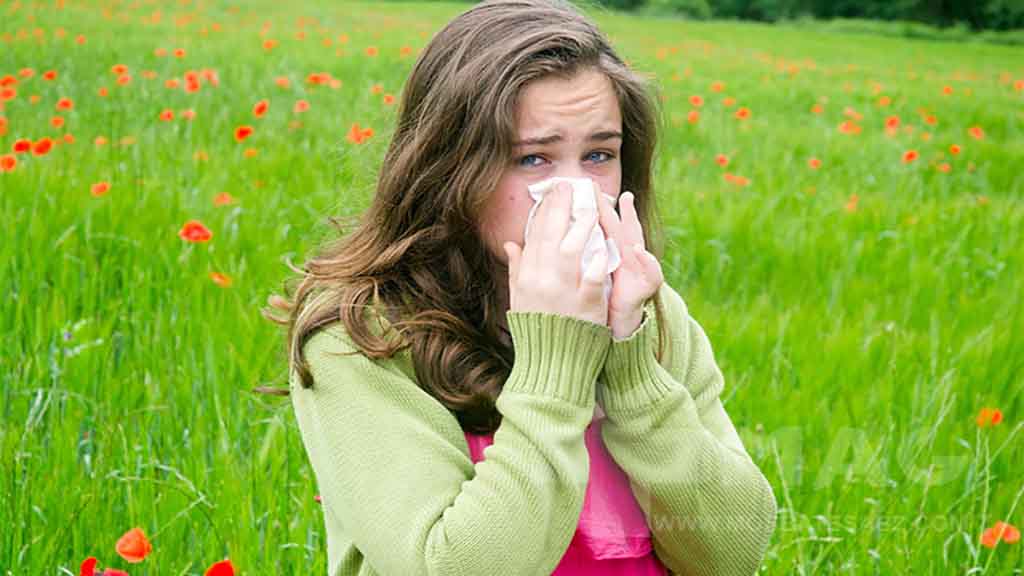 برای آلرژی بهاری چه مکملی بخوریم؟ راهنمای کامل کنترل حساسیت فصلی